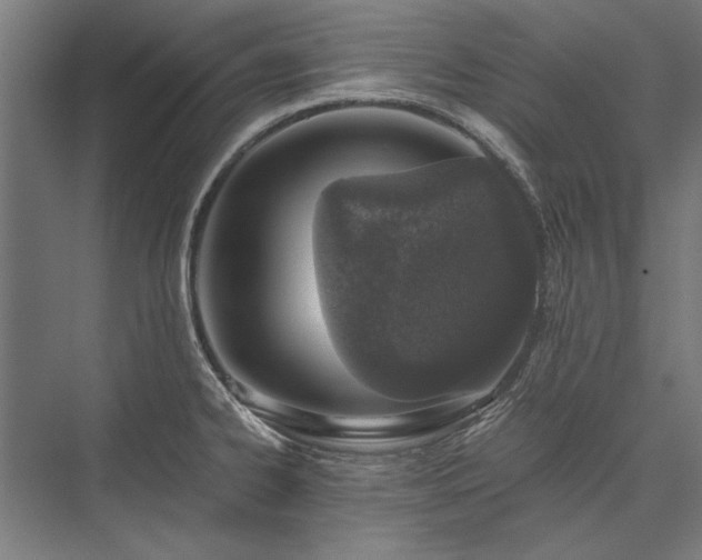X0000076371334200610061048