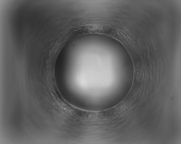 X0000076371345200610061048