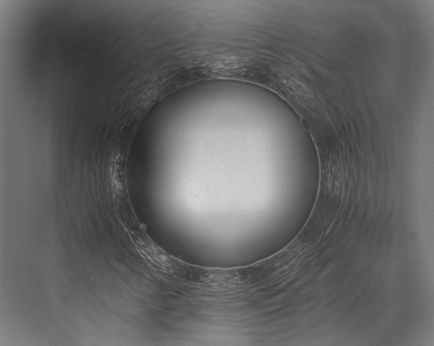 X0000076371346200610061048