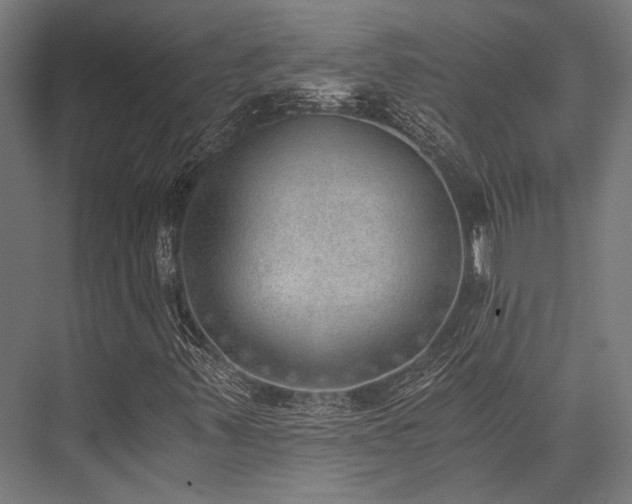 X0000076371347200610061047