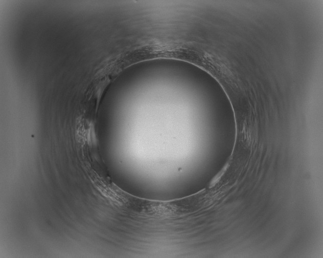 X0000076371348200610061047