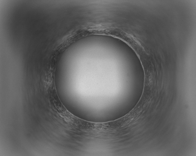 X0000076371350200610061047