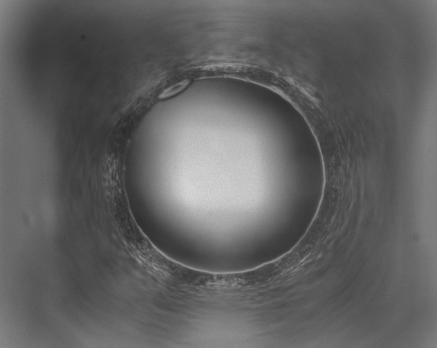 X0000076371351200610061047