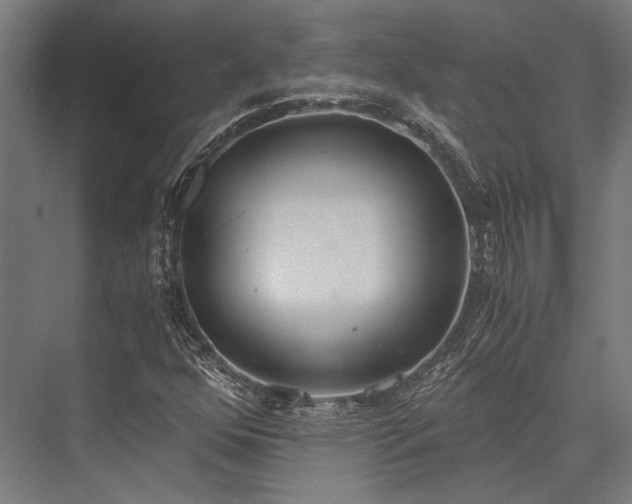 X0000076371352200610061047