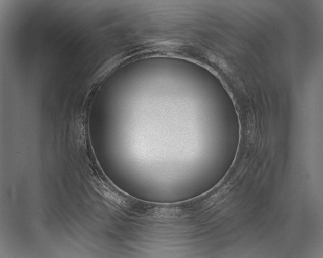 X0000076371354200610061047