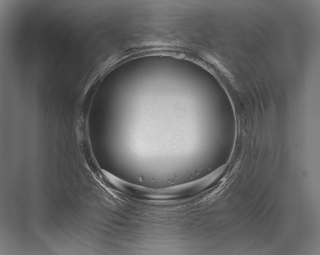 X0000076371357200610061047