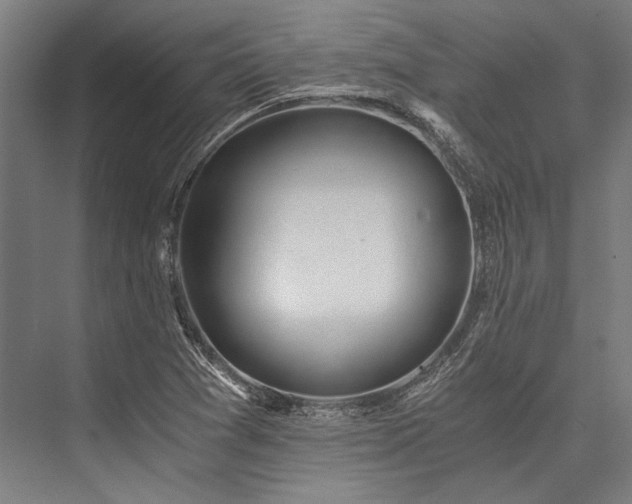 X0000076371361200610061047