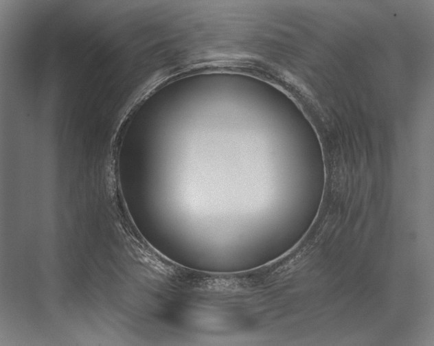 X0000076371362200610061047