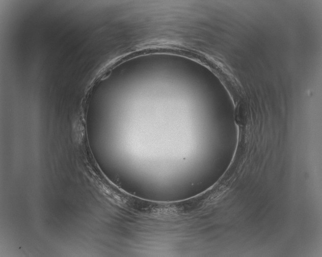 X0000076371363200610061047