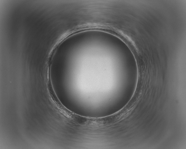 X0000076371365200610061047