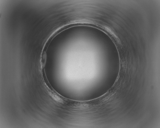 X0000076371372200610061047