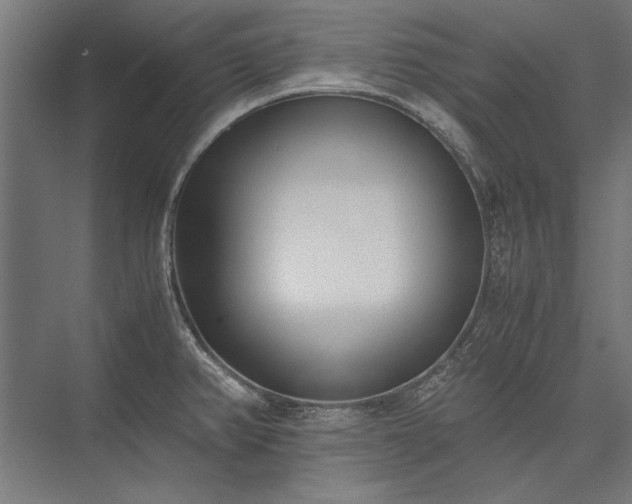 X0000076371382200610061047