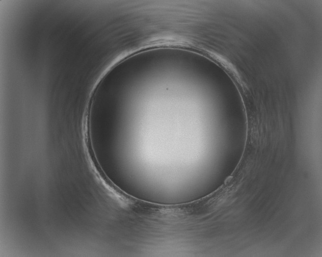 X0000076371383200610061047