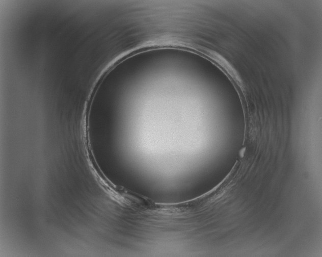 X0000076371388200610061047