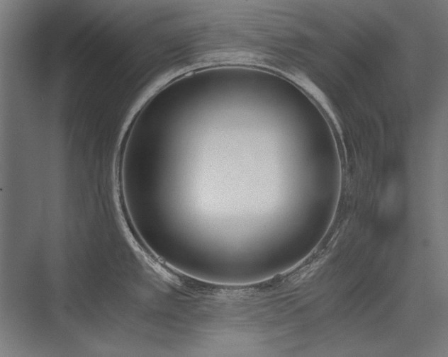 X0000076371389200610061047
