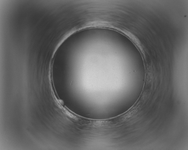 X0000076371390200610061047