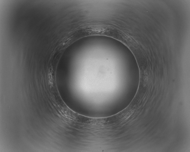 X0000076371394200610061046