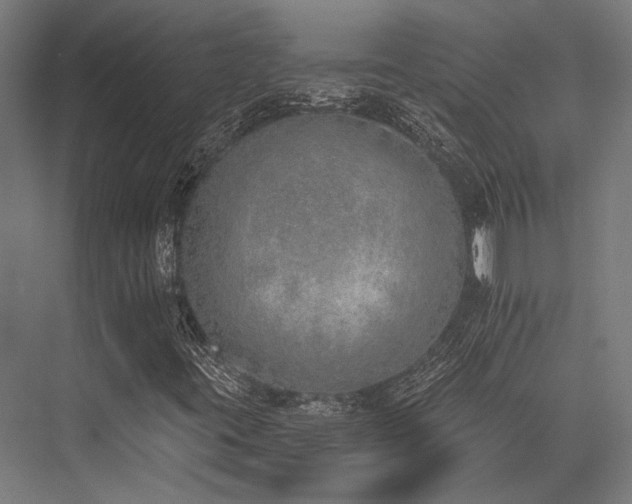 X0000076371395200610061046