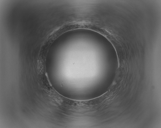 X0000076371398200610061046