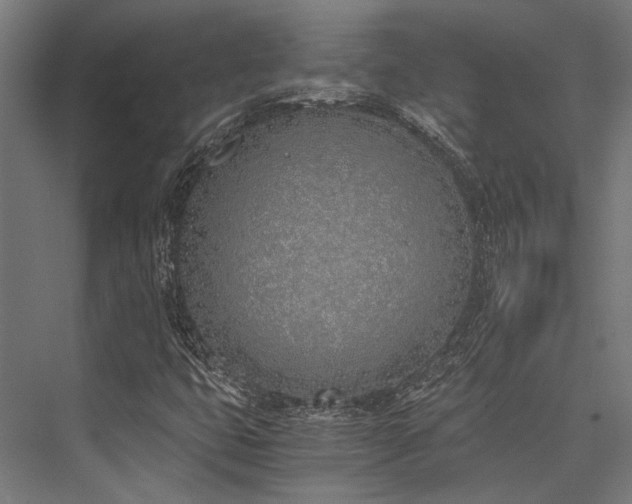 X0000076371399200610061046