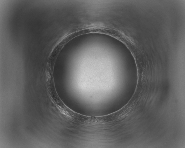 X0000076371400200610061046