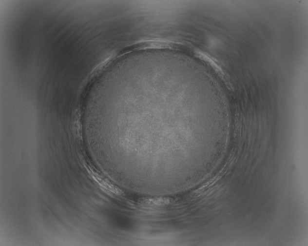 X0000076371403200610061046