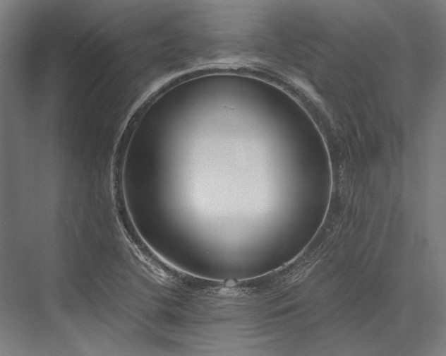 X0000076371412200610061046