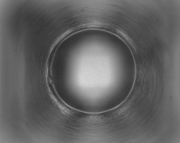 X0000076371418200610061046
