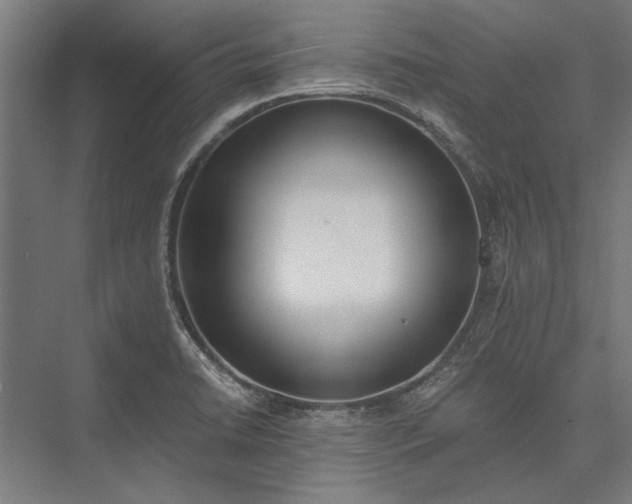 X0000076371422200610061046