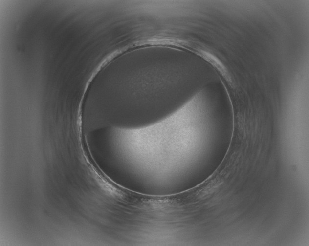 X0000076371428200610061046