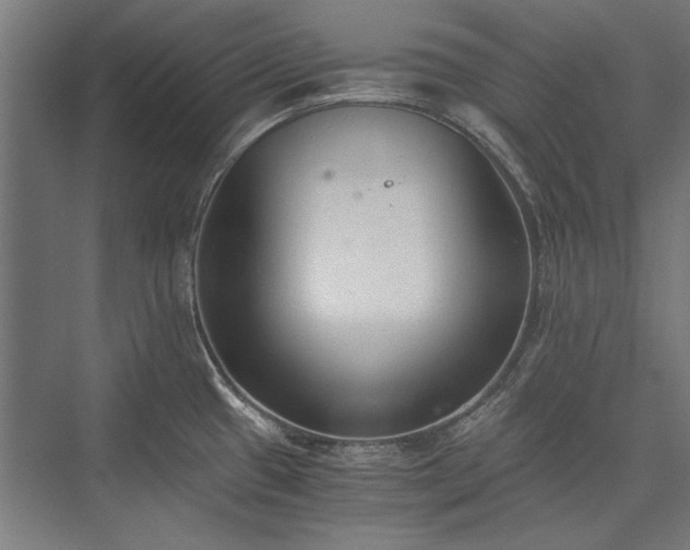 X0000076371433200610061047