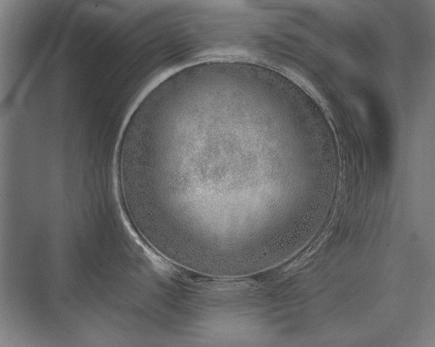 X0000076371440200610061047