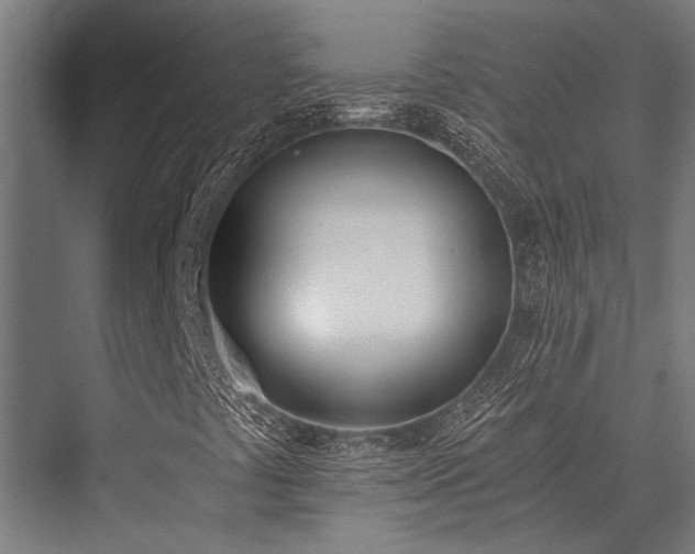 X0000076371441200610061046