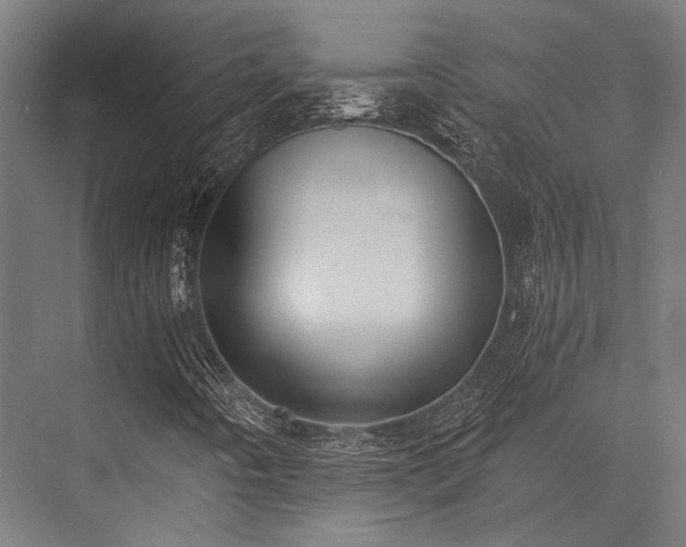 X0000076371442200610061046