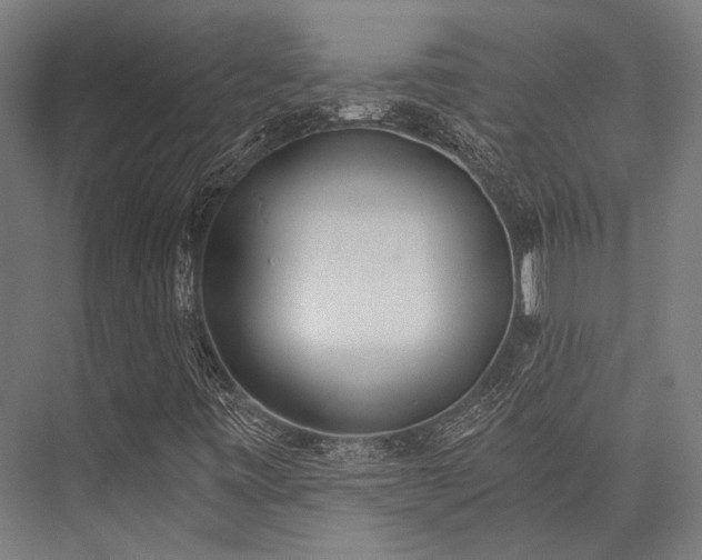X0000076371443200610061046