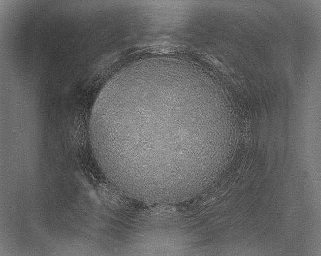 X0000076371446200610061046