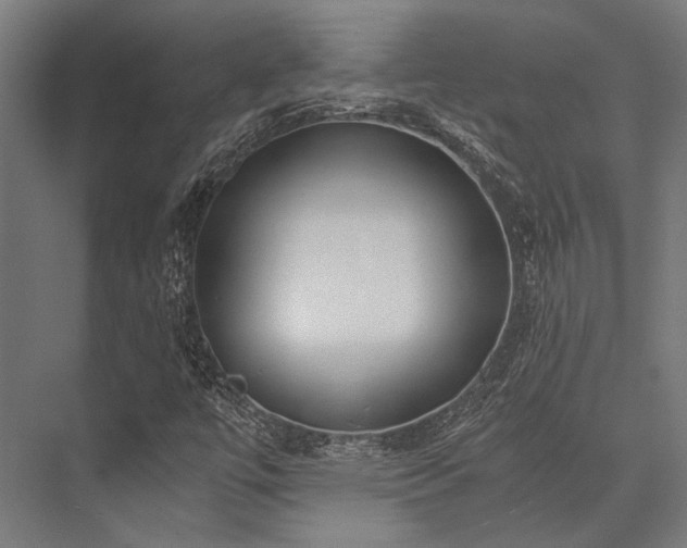 X0000076371447200610061046