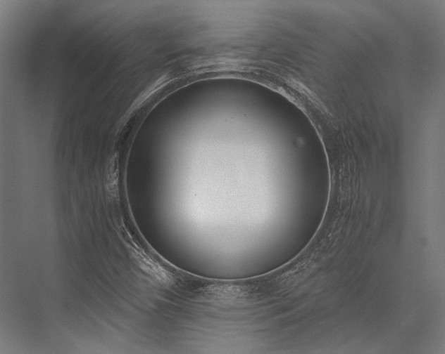X0000076371450200610061046