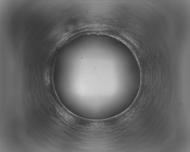 X0000076371451200610061046