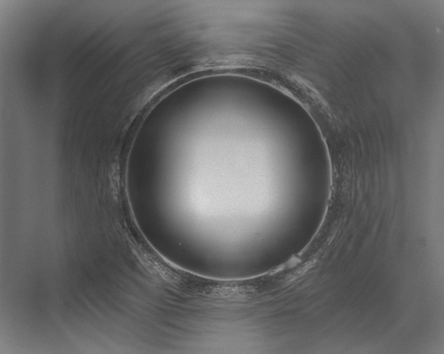 X0000076371457200610061046