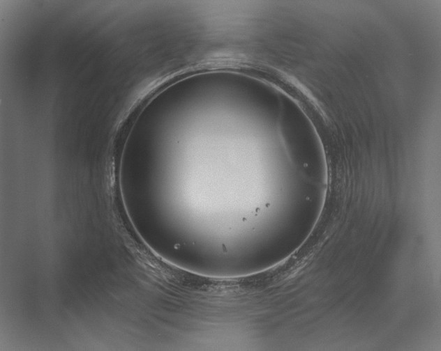 X0000076371461200610061046