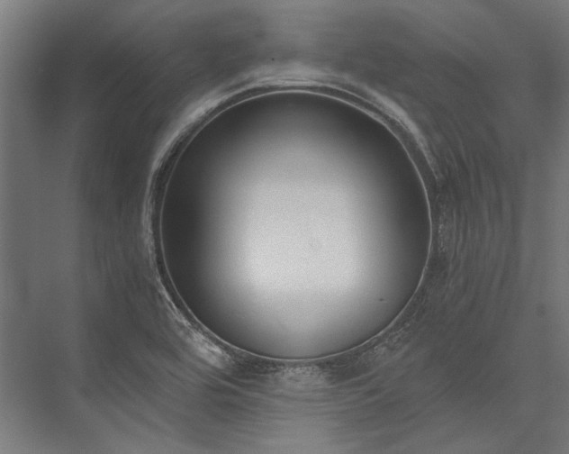 X0000076371464200610061045