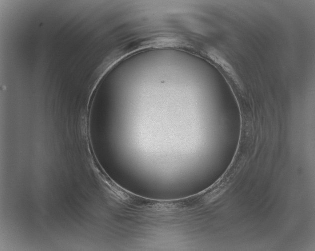 X0000076371473200610061045