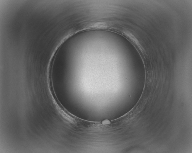 X0000076371475200610061045
