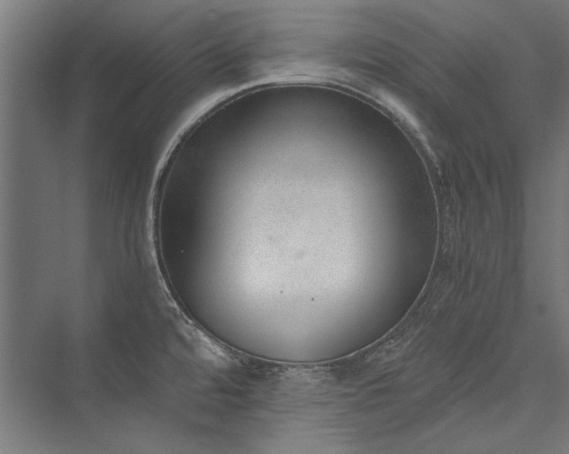 X0000076371480200610061045
