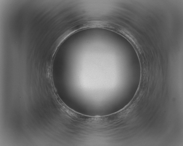 X0000076371481200610061045