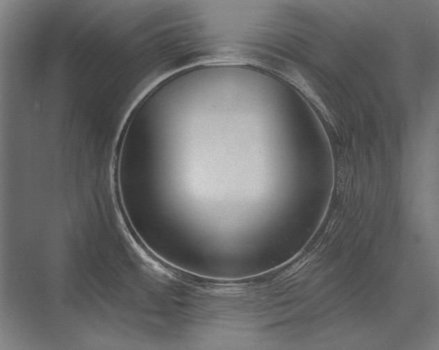 X0000076371484200610061045