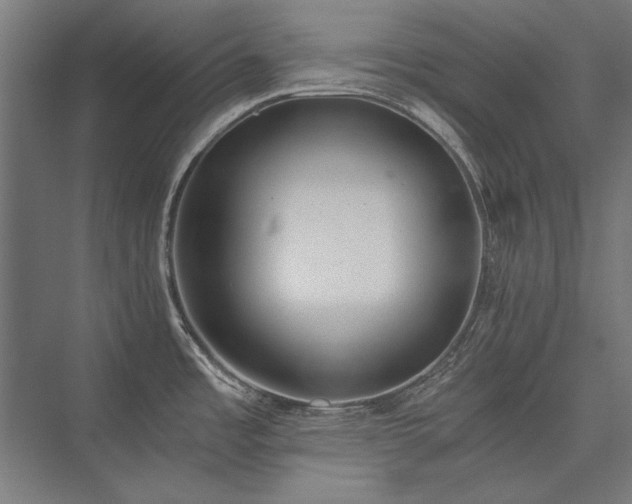 X0000076371485200610061045