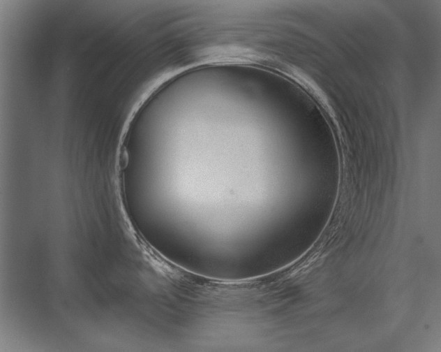 X0000076371488200610061045