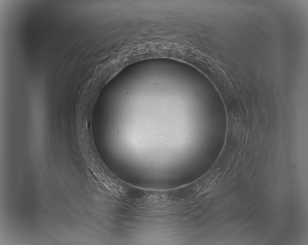 X0000076371489200610061044